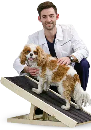 Alpha Paw - Pet Care Experts