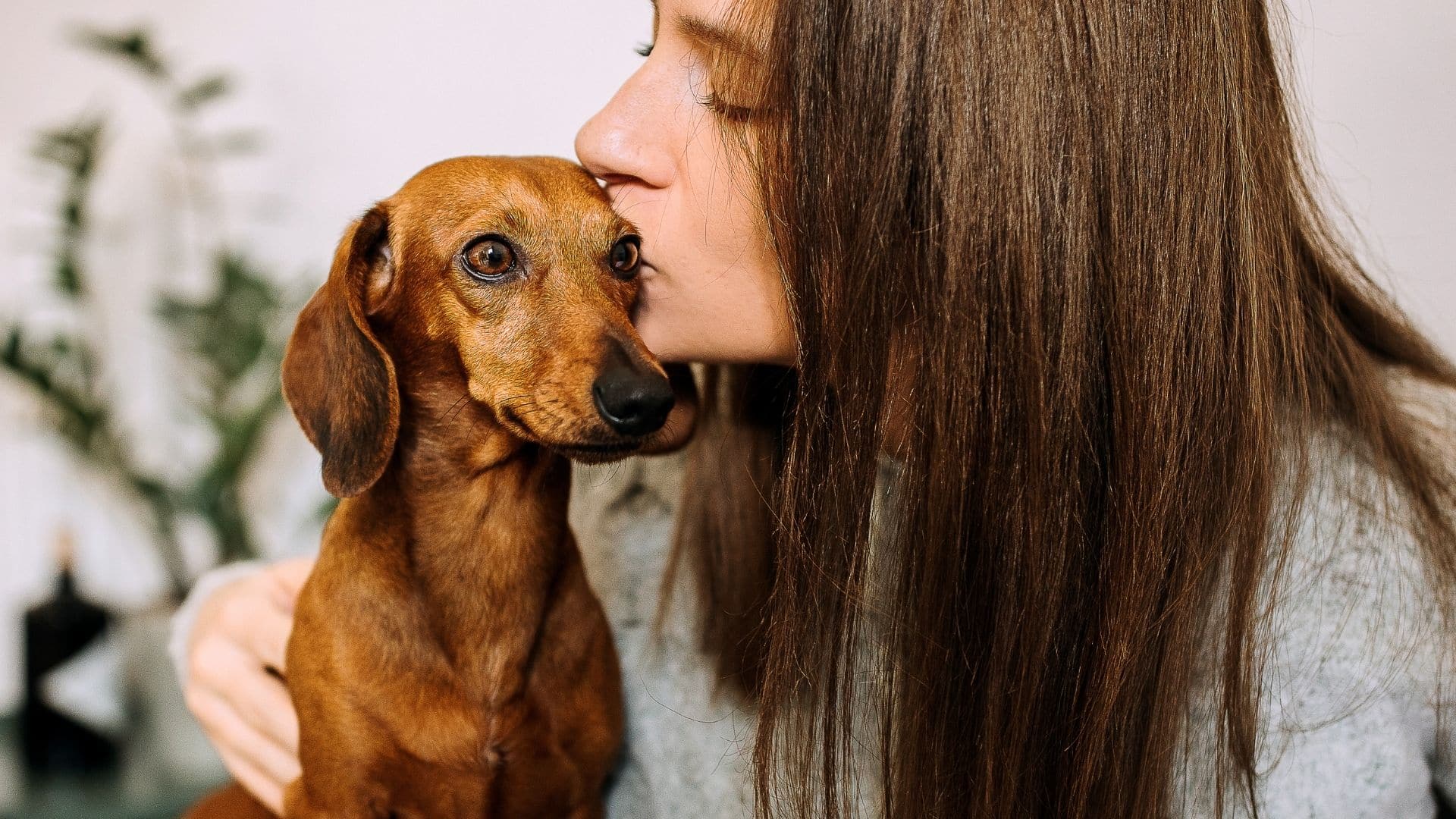 5 Ways your Dog Shows they Love You