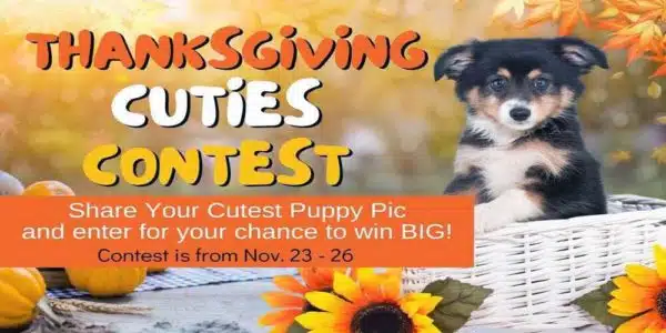 Thanksgiving Cuties Contest: Enter Now!