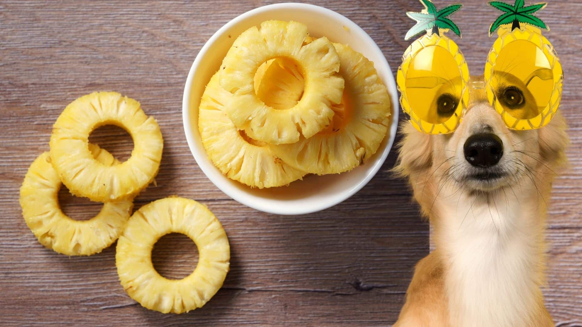 Can Dogs Eat Pineapple? Our Amazing Vet Weighs In