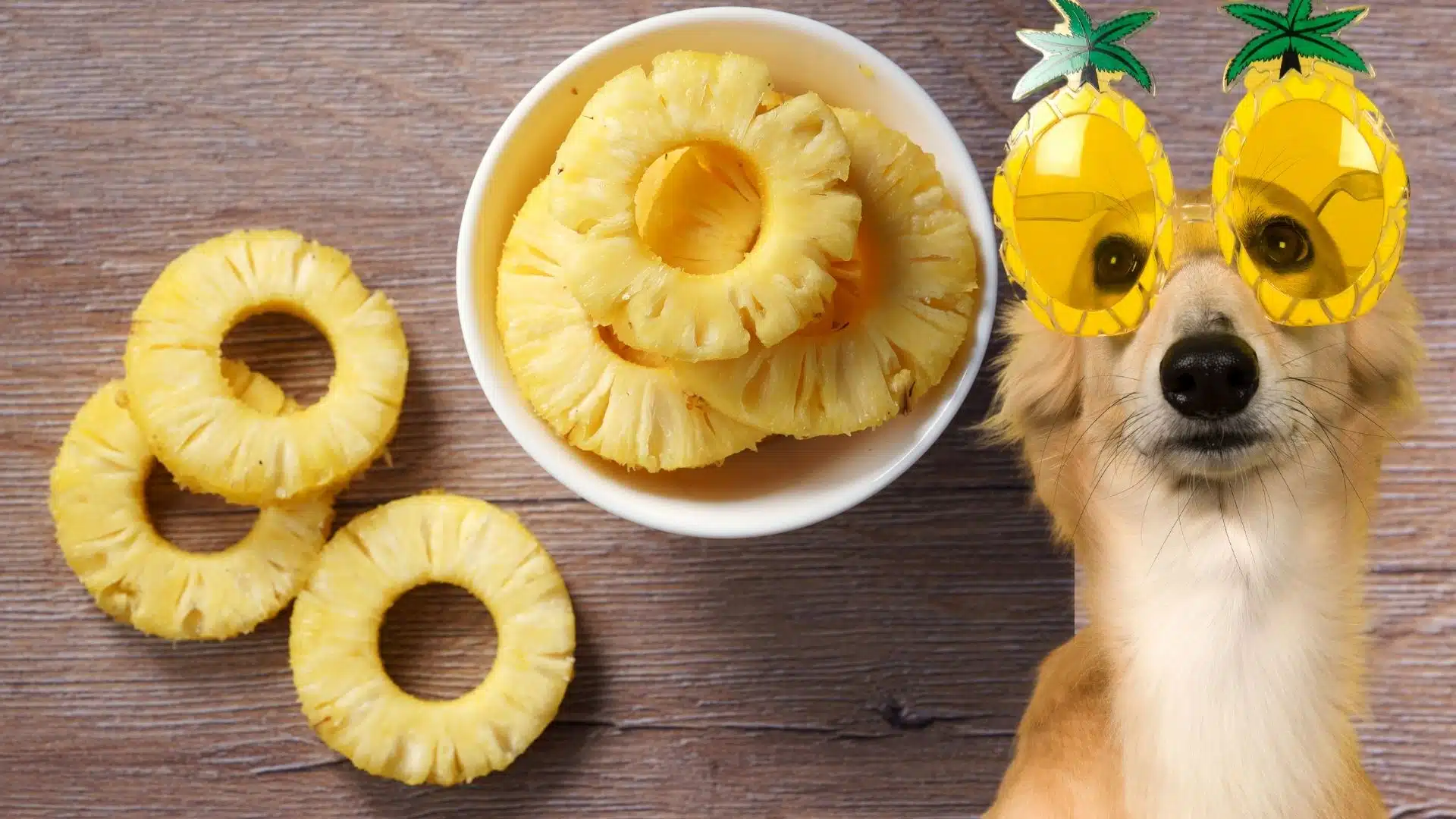 Can Dogs Eat Pineapple? Our Vet Weighs In