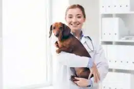 Dachshund Health Issues: How to Care for Your Pup