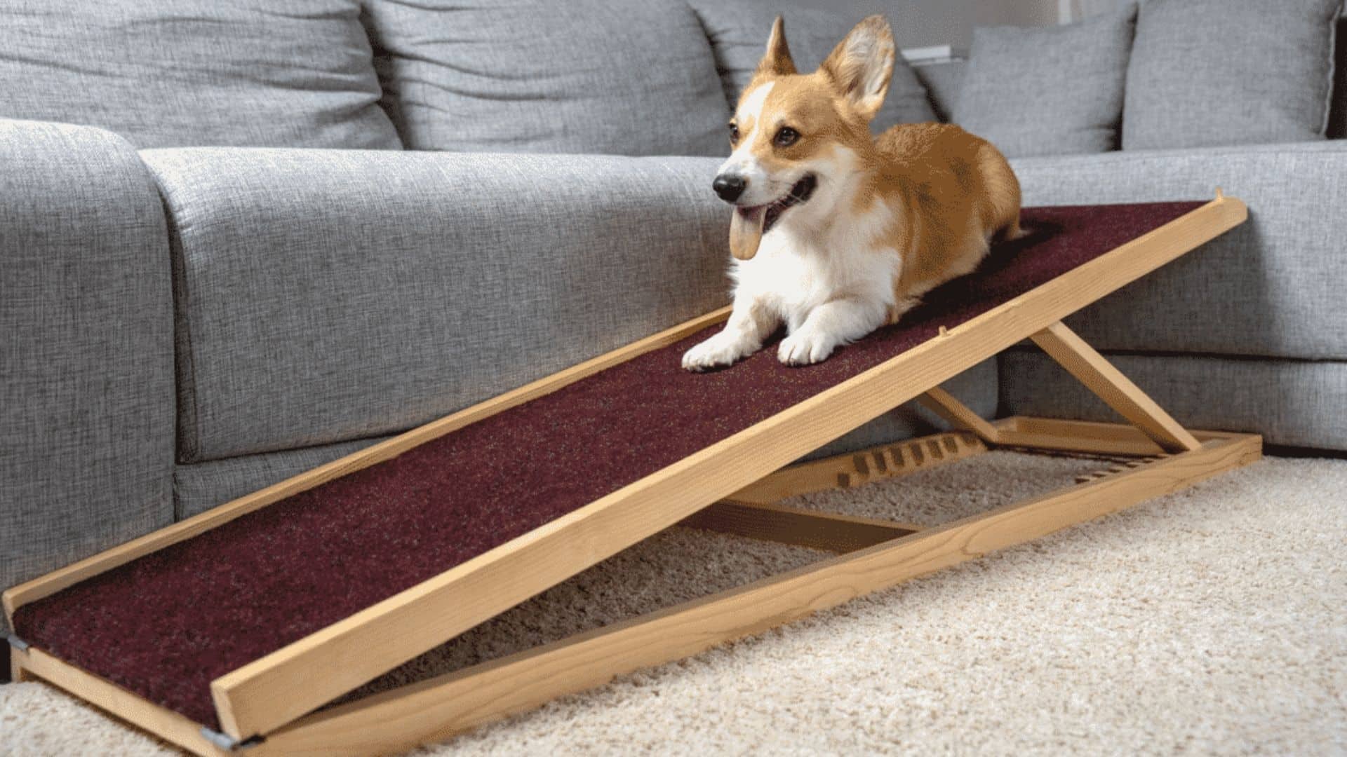 Pet Ramp for All Dogs and Cats Good Couch Access for Dogs and Cats-Support up to 60lb,Non-Slip Carpet Surface,Great for Older Animals with Different Adjustable Heights TOPQSC Durable Dog Ramps