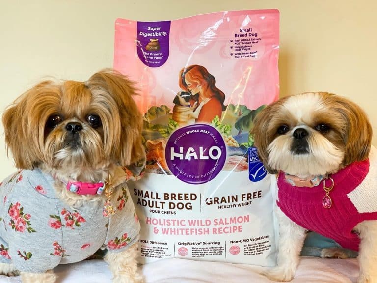 Halo Dog Food Review Good Or Bad?