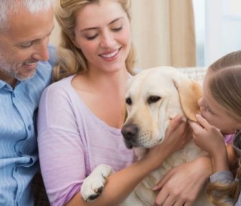 The Complete Collection of Vet-Recommended Resources for Pet Parents