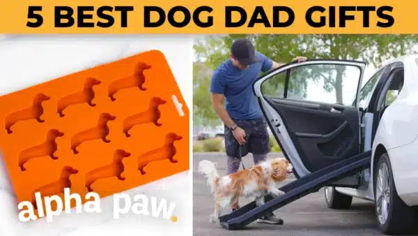 Video: 5 Gifts Every Dog Dad Needs!