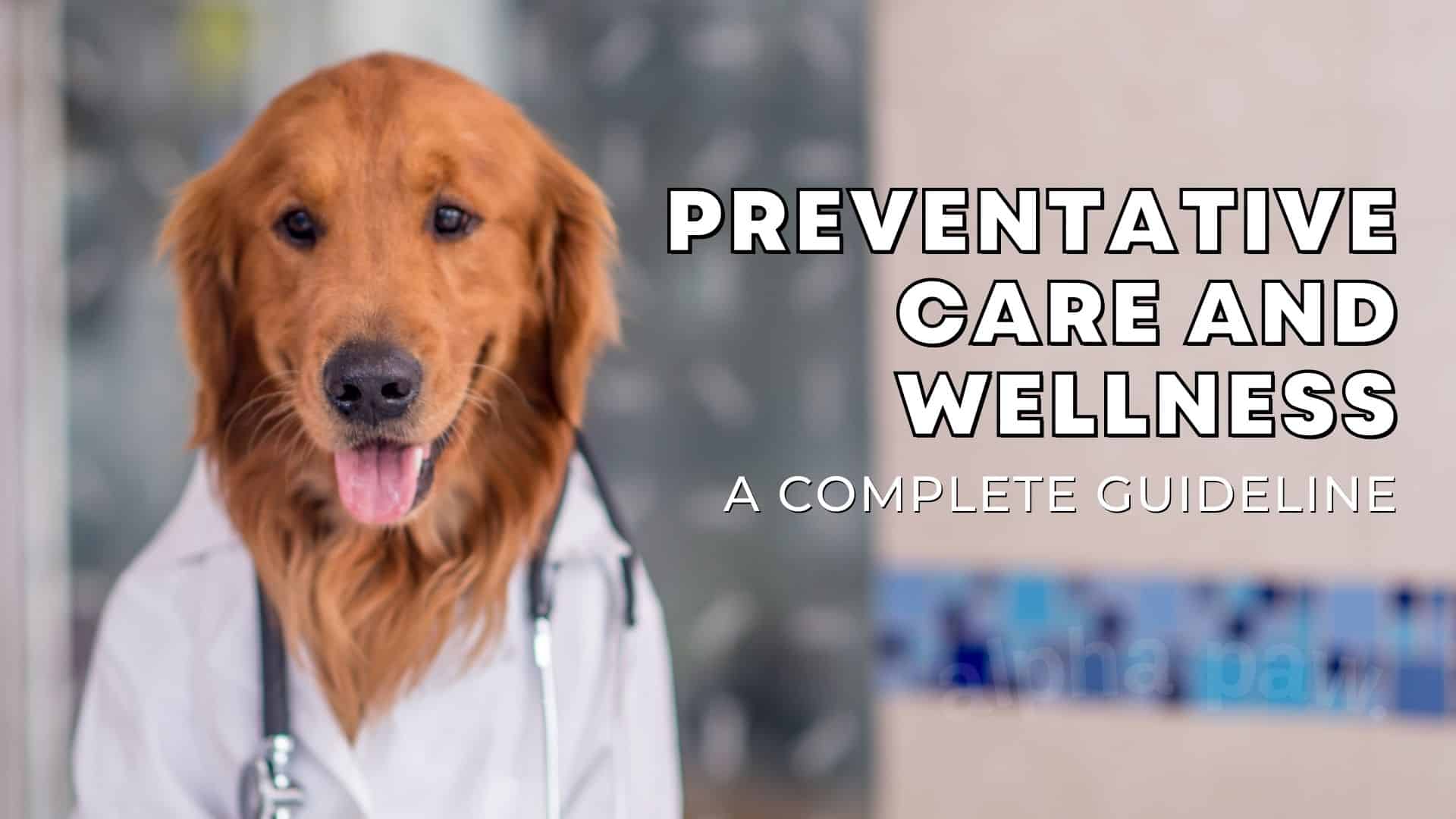 Preventive Care and Wellness Guidelines for Dogs