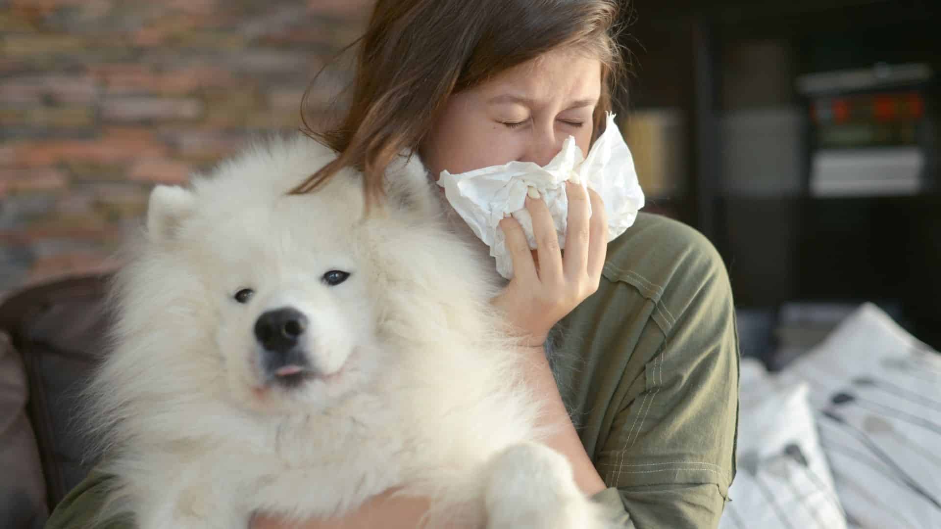 Dog Allergies: Symptoms and Remedies