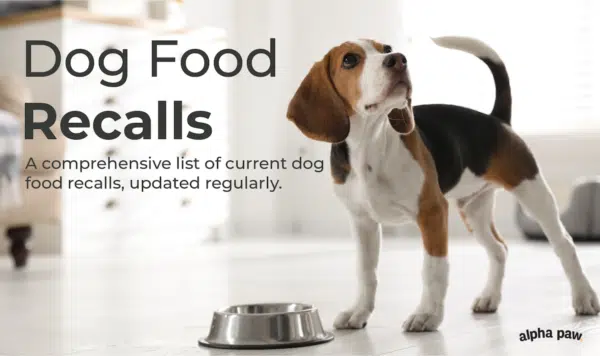 Dog Food Recall Alerts: A Complete List for 2021