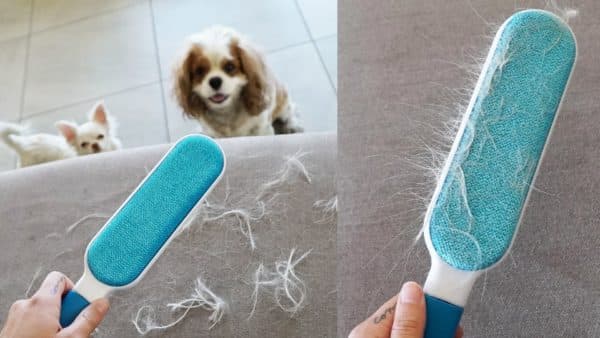 5 Creative Ways To Remove Dog Hair