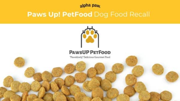 Paws Up! Dog Food Recall Alert: Pig Ear Dog Treats Contaminated