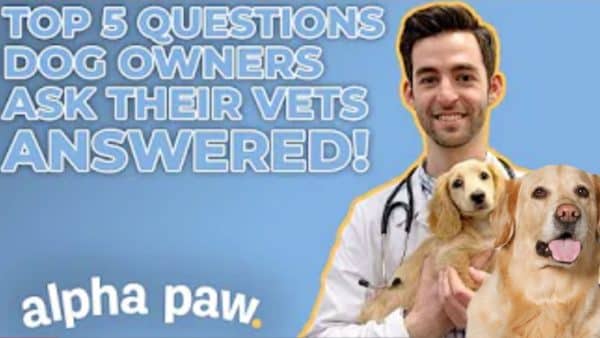VIDEO: 5 Most Common Questions For Vets, ANSWERED!