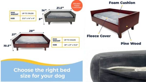 Alpha paw dog beds: a guide for pet owners