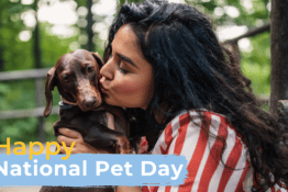 Ways to Celebrate National Pet Day on April 11