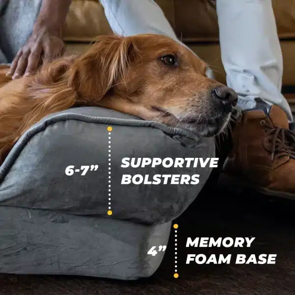What to look when you are buying an orthopedic bed for your dog - alpha paw