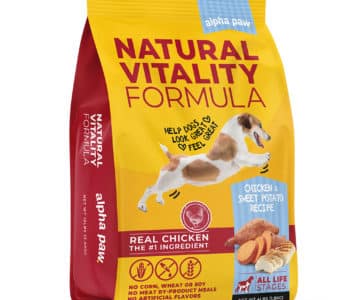 Best Dog Food of 2022 : What to Consider and the Top Picks