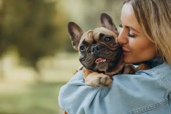 How to celebrate national dog day with your furry friend?