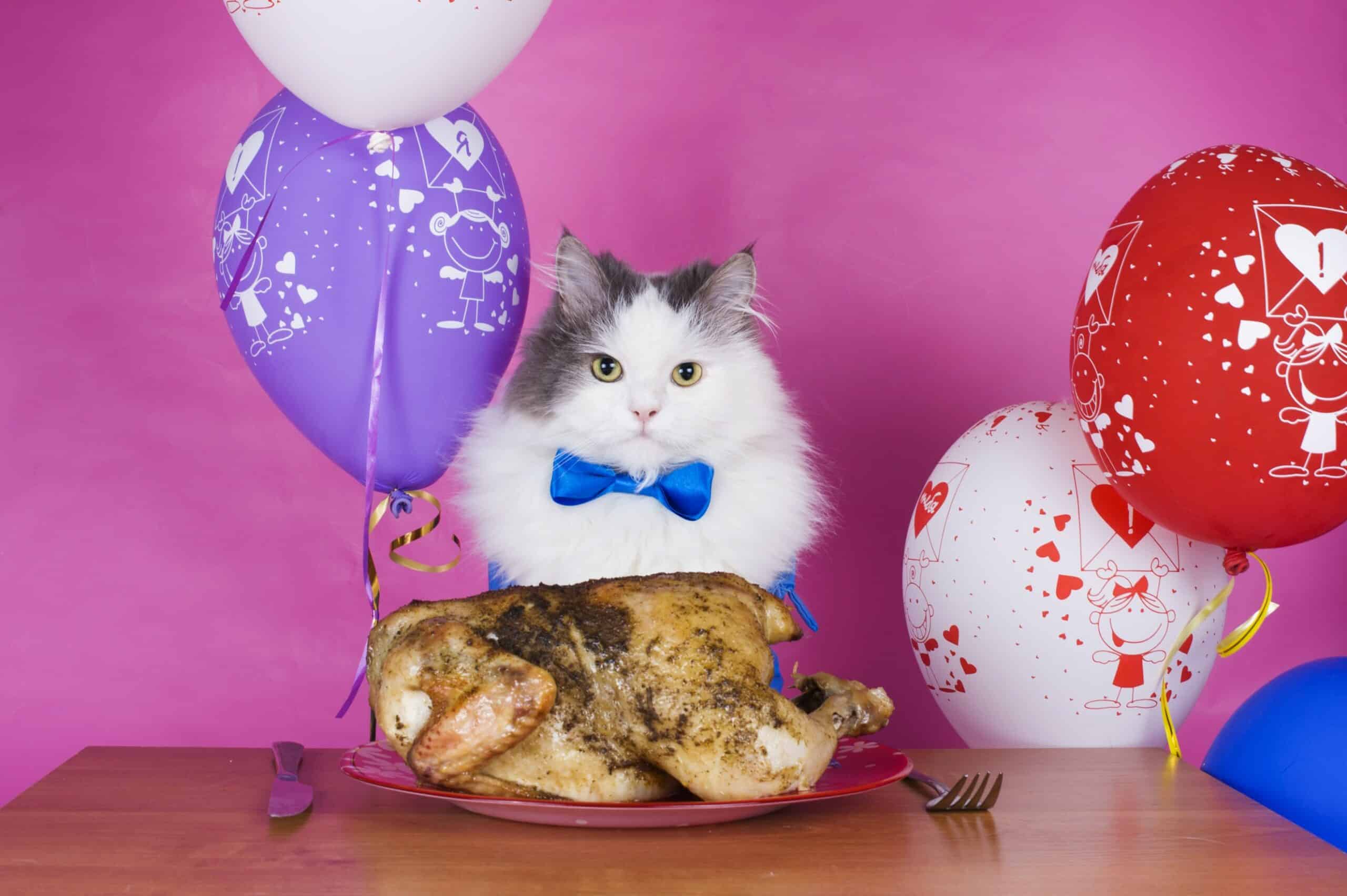 Can Cats Eat Chicken? Compare The Pros And Cons!