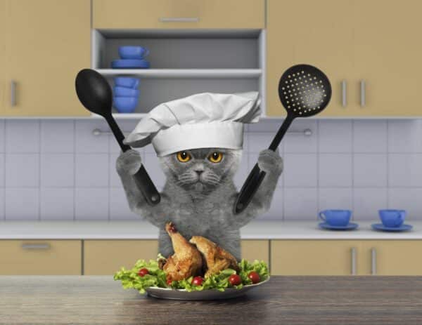 Can cats eat chicken