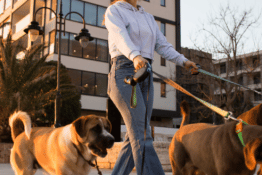 National Dog Walker Appreciation Day | 6 Best Ways to Show Appreciation for Your Dog Walker