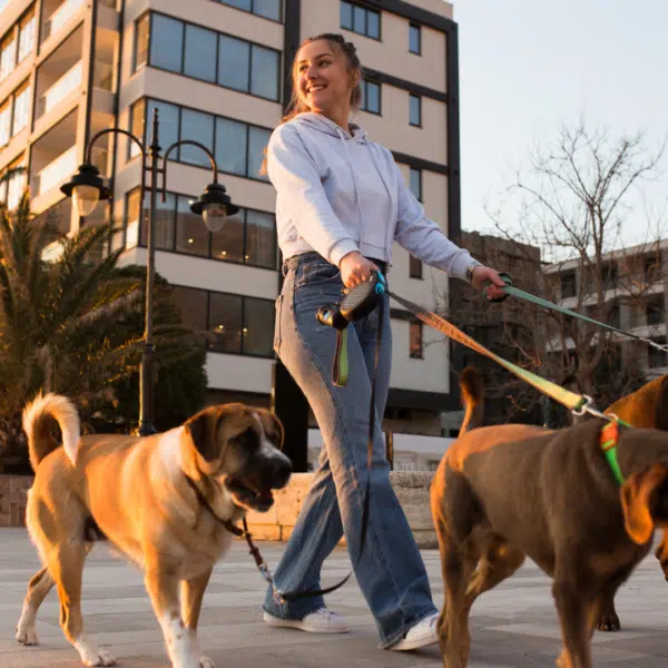 National Dog Walker Appreciation Day | 6 Best Ways to Show Appreciation for Your Dog Walker