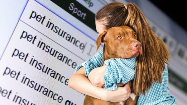 5 Reasons Why Pet Insurance Is Important