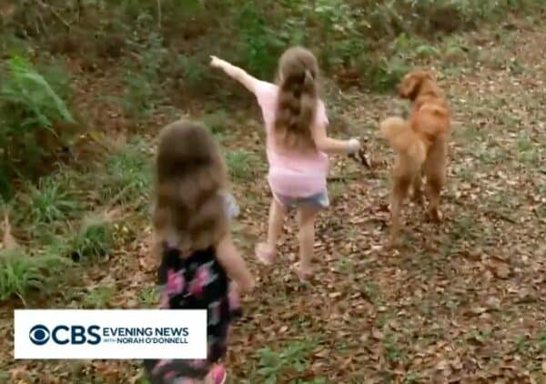 Dog rescues 2 girls lost in the woods