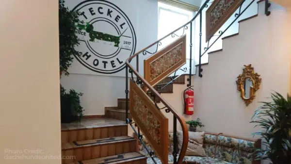 A Hotel for Sausage Dog Lovers: The Teckel Hotel Tirol