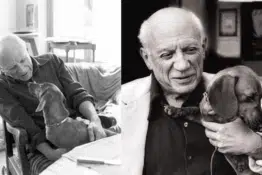 Picasso and Dachshunds: A Love Story