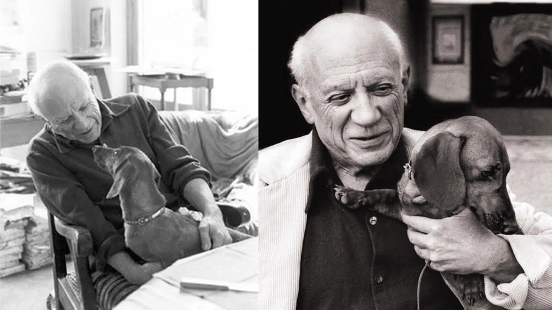 Picasso and Dachshunds: A Love Story