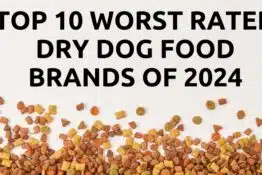 Top 10 Worst Rated Dry Dog Food Brands of 2024