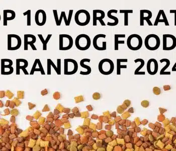Top 10 Worst Rated Dry Dog Food Brands of 2024
