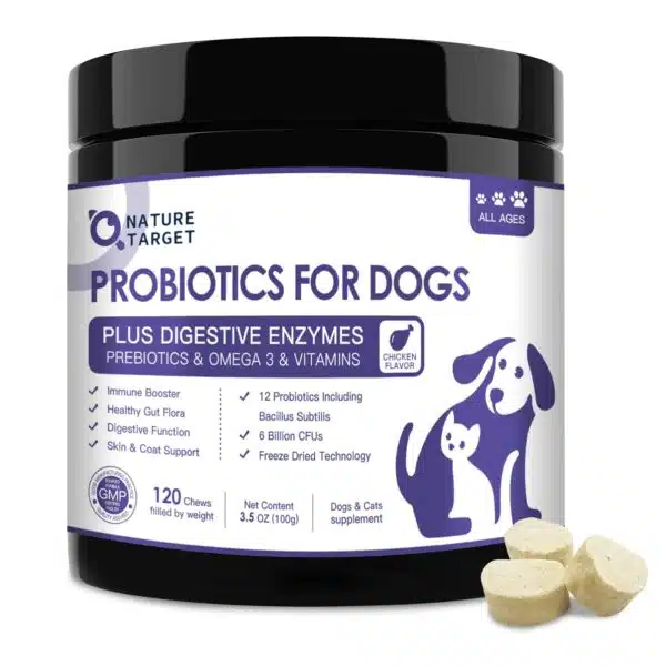 Best dog probiotics for optimal canine health
