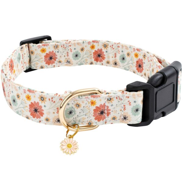 Best Dog Collars for Comfort, Durability, and Style