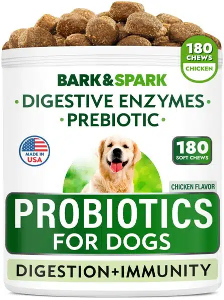 Best dog probiotics for optimal canine health