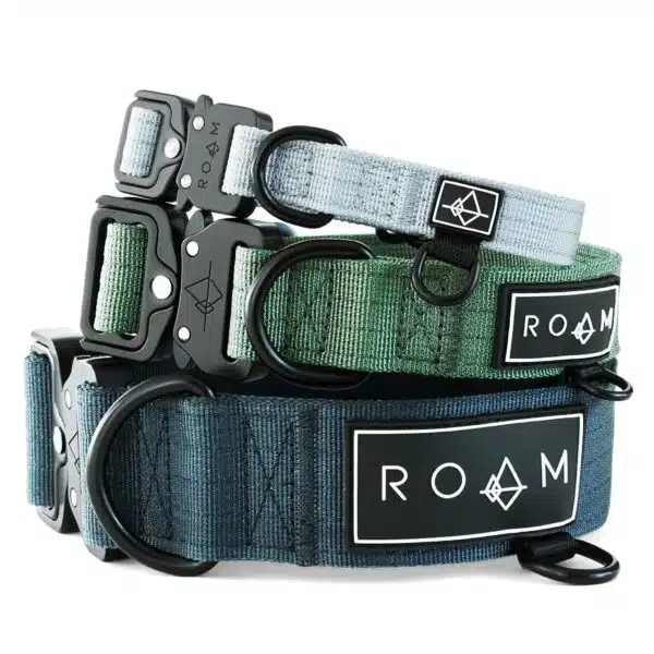 Best dog collars for comfort, durability, and style