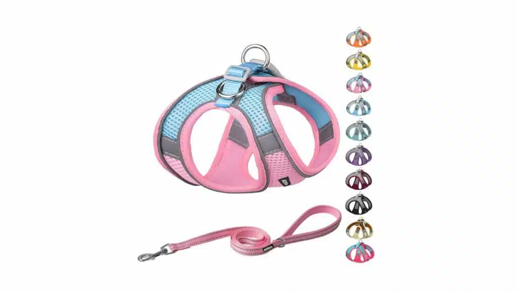 Aiitle step in dog harness and leash set