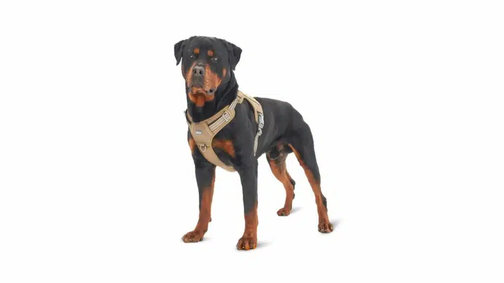 Auroth tactical dog harness