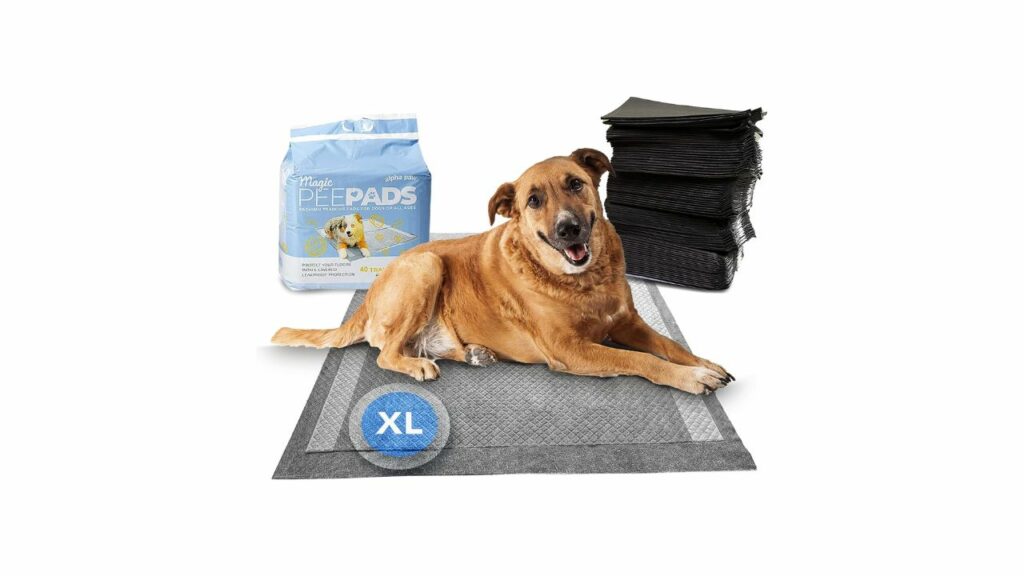 Alpha Paw - Odor Eliminating Pee Pads for Dogs,