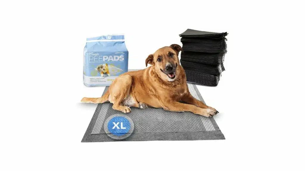 Alpha paw - odor eliminating pee pads for dogs,