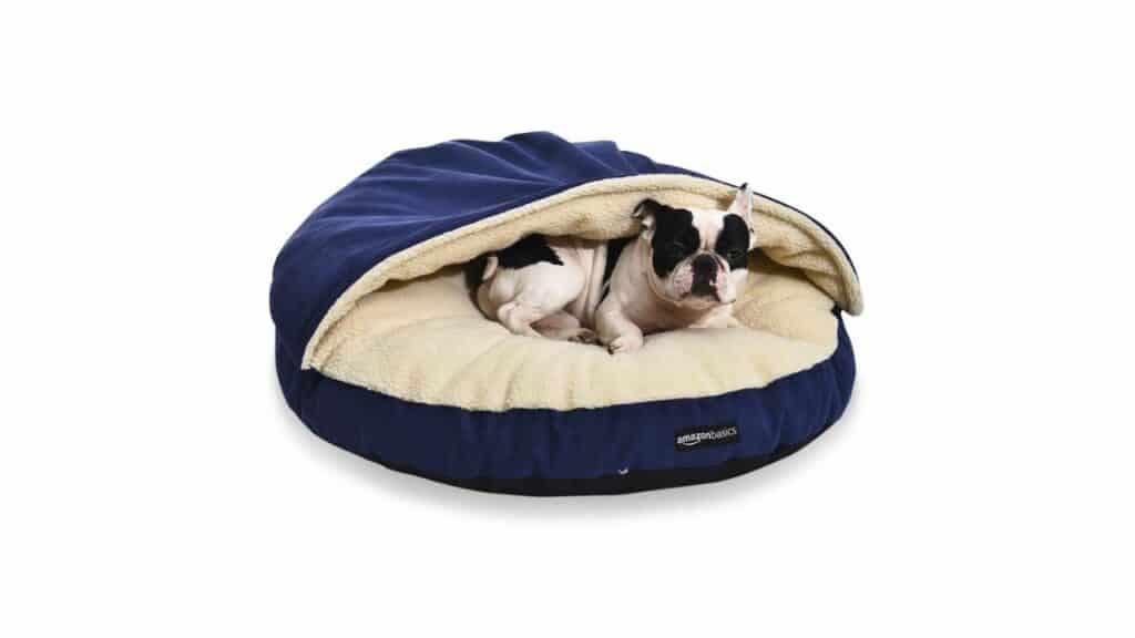 Best Dog Beds for Large Dogs: Top Picks for Comfort and Support