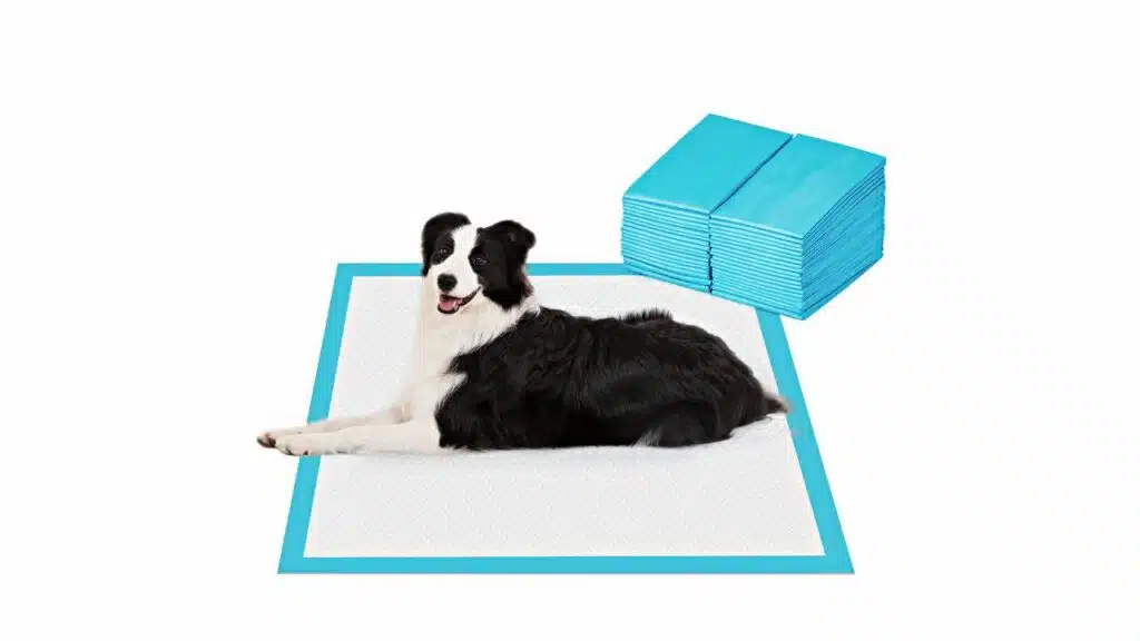 Bestle extra large pet training and puppy pads pee pads for dogs 28"x34" -40 count super absorbent & leak-proof 40-count