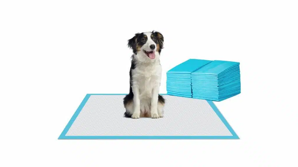 Bestle extra large pet training and puppy pads pee pads for dogs 30"x36" super absorbent & leak-proof, 30 count