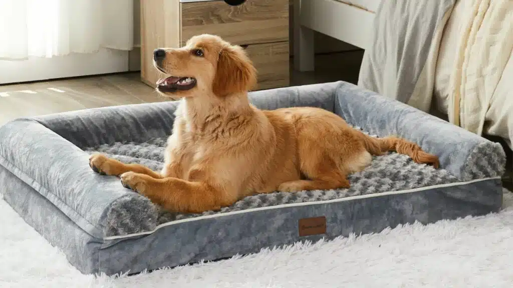 Best dog beds for large dogs: top picks for comfort and support