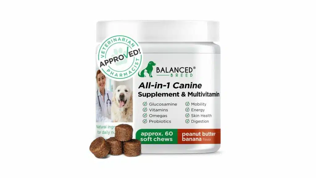 Balanced breed dog vitamins supplements dog probiotics dogs glucosamine chondroitin dogs joint support supplement dogs dog probiotics yeast itchy skin itchy ears dog allergy relief dog multivitamin