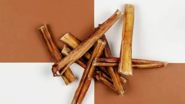 Best Bully Sticks for Dogs: Top 11 Picks for Your Furry Friend