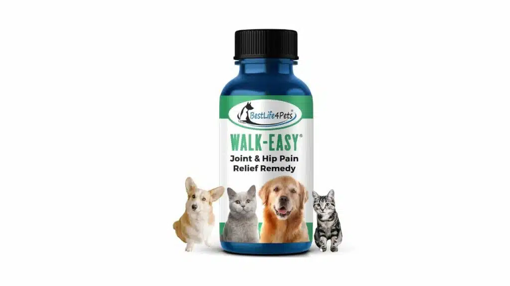 Bestlife4pets walk-easy hip and joint supplement for dogs & cats