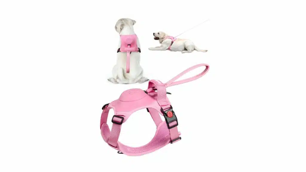Bestdoggo dog harness
