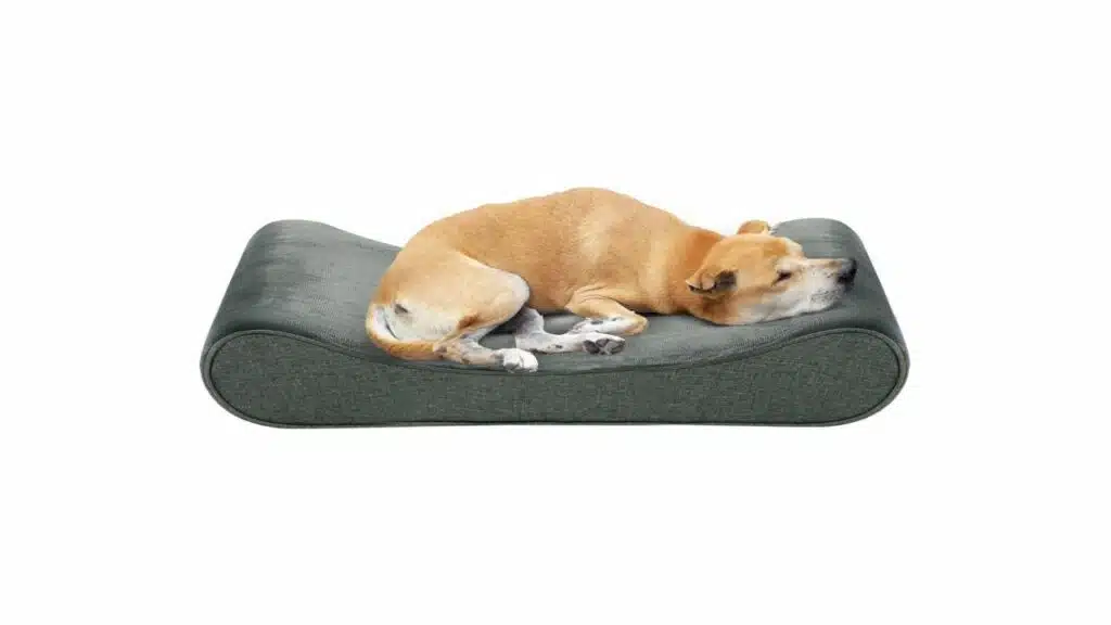 Casa paw orthopedic dog bed for large dogs