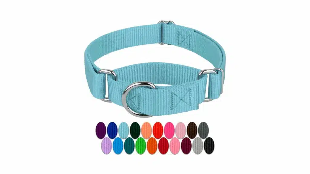 Country brook design - ocean blue martingale heavy duty nylon dog collar